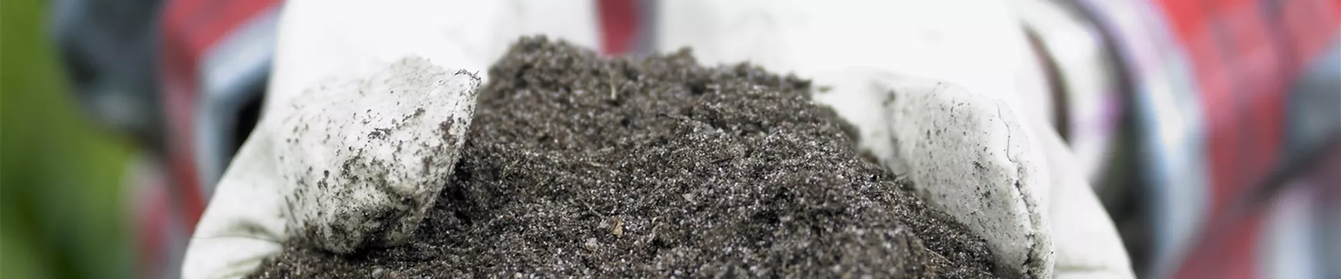 Visi44138 Erden Visi44138 Erden