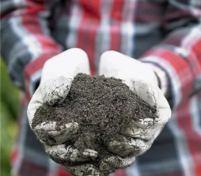 Den Garten effektiv düngen und pflegen Den Garten effektiv düngen und pflegen