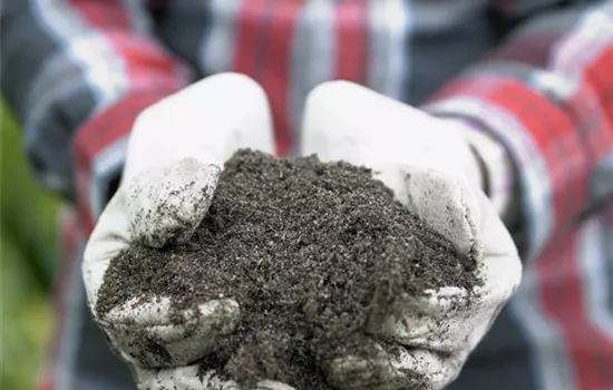 Den Garten effektiv düngen und pflegen