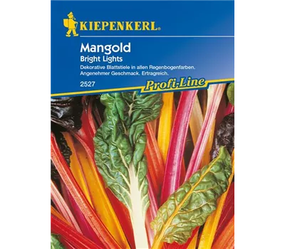 Blatt-Mangold 'Bright Lights' Blatt-Mangold 'Bright Lights'