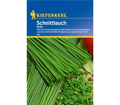 Schnittlauch 'Nelly' Schnittlauch 'Nelly'