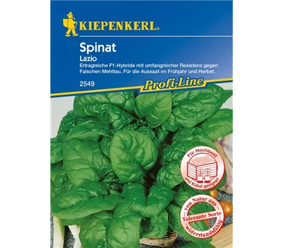 Echter Spinat 'Lazio F1' Echter Spinat 'Lazio F1'