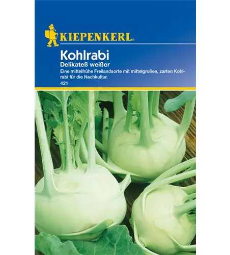 Kohlrabi 'Weißer Delikateß'