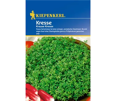 Gartenkresse 'Krause' Gartenkresse 'Krause'