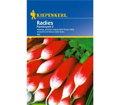 Radieschen 'Flamboyant 2' Radieschen 'Flamboyant 2'