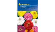 Zinnia elegans Dahlienblütig
