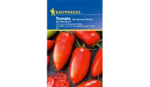 Solanum lycopersicum 'San Marzano'