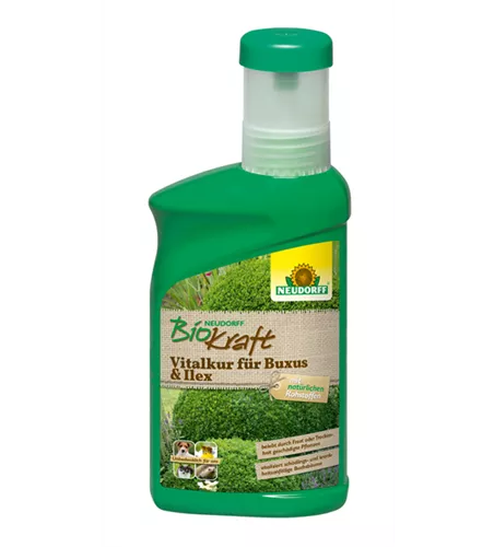 Neudorff BioKraft Vitalkur für Buxus & Ilex Neudorff BioKraft Vitalkur für Buxus & Ilex