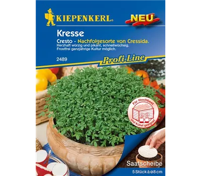 Gartenkresse 'Cresto' Gartenkresse 'Cresto'
