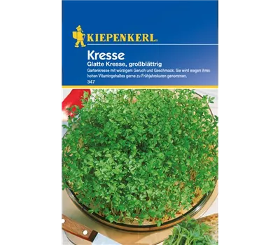 Gartenkresse 'Großblättrige' Gartenkresse 'Großblättrige'