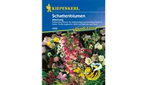 Schattenstauden