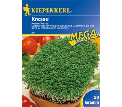 Gartenkresse 'Krause' Gartenkresse 'Krause'