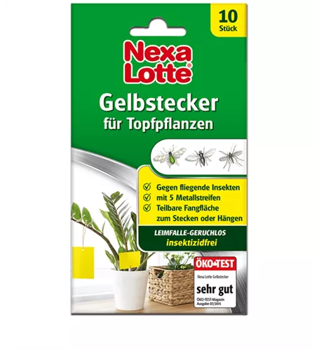 Nexa-Lotte Gelbstecker Nexa-Lotte Gelbstecker