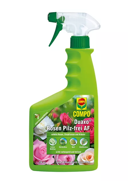 wildpflanzenmischung saatgut 100 g Wildblumen-Saatgut main image 1