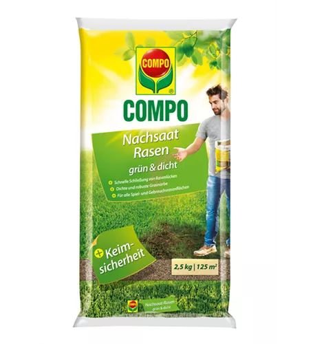 Compo Nachsaat-Rasen grün und dicht 
