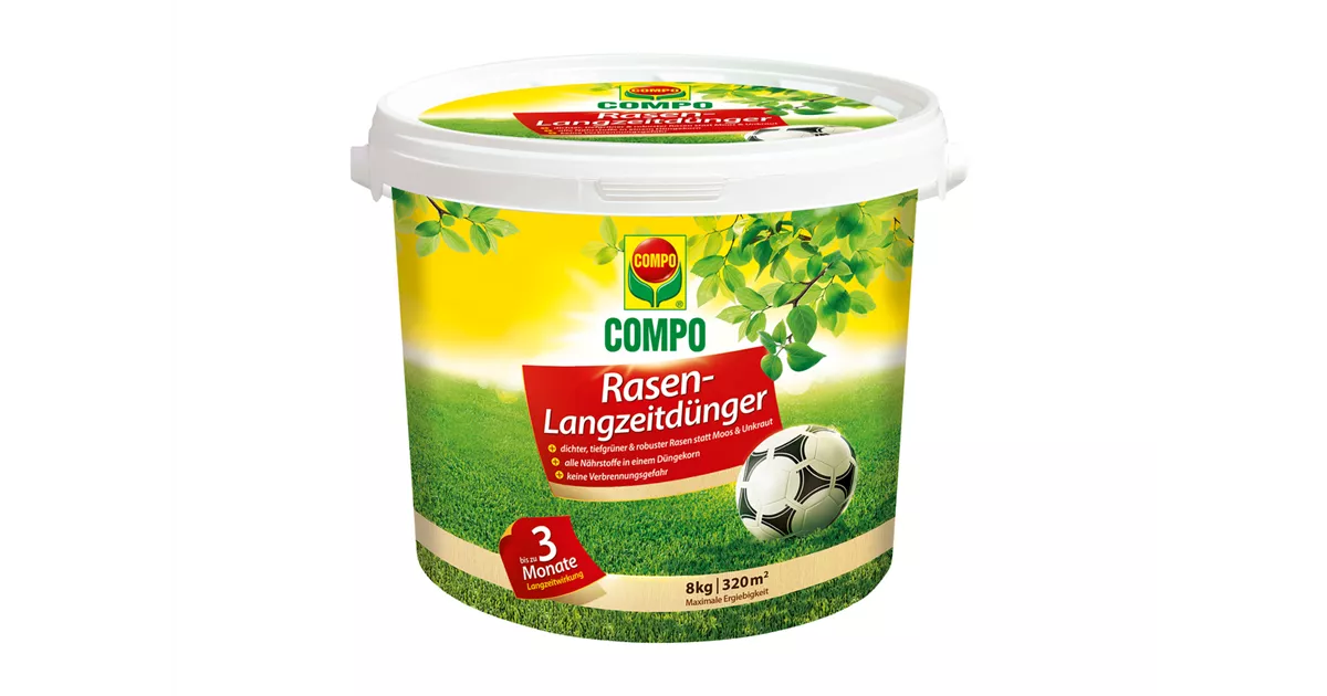 brokkolisamen gekeimt Bio Brokkolisamen Gekeimt Pulver – VITALOVE main image 0