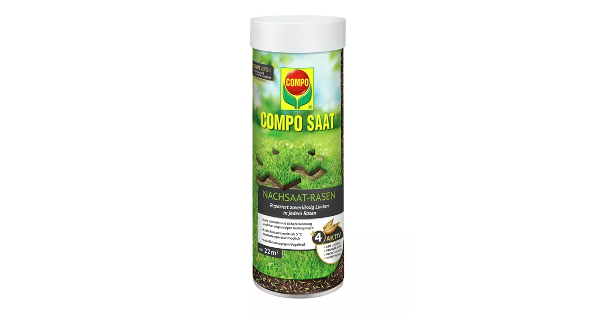 keimzeit saatgut paprika Seedeo® Paprika Ferenc Tender (Capsicum annuum L.) 35 Samen BIO main image 0
