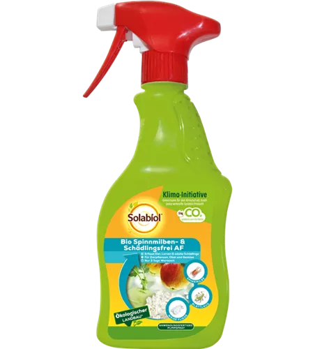 Solabiol® Bio Spinnmilben u. Schädlingsfrei AF