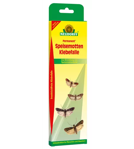 Permanent SpeisemottenKlebefalle