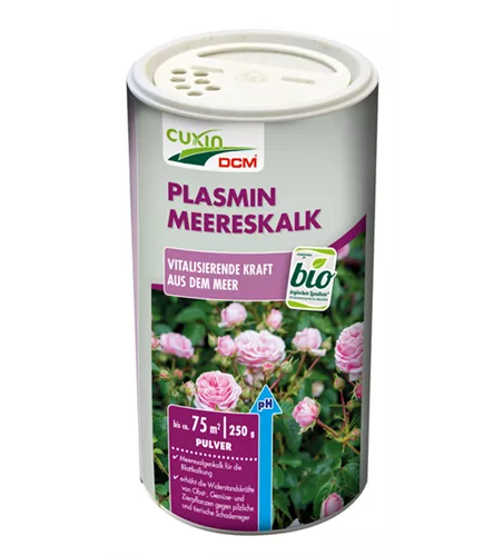 Cuxin Plasmin Meereskalk