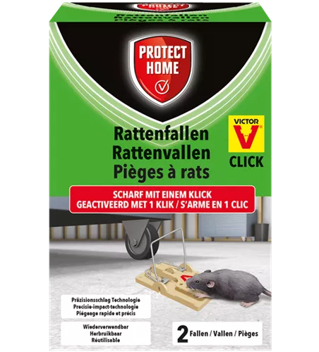 Protect Home Rattenfalle Click