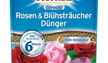 wann blumen düngen Blumen-Flüssigdünger 500 ml