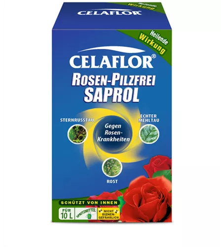 Celaflor Rosen-Pilzfrei Saprol Konzentrat