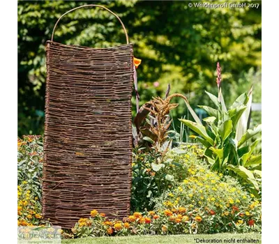 Weidenprofi Weidenzaun BALDO spanische Wand Weidenprofi Weidenzaun BALDO spanische Wand