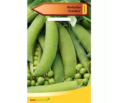 Markerbse 'Grandera'