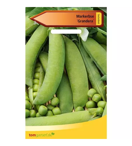Markerbse 'Grandera'