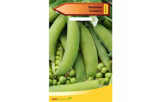Markerbse 'Grandera' Markerbse 'Grandera'