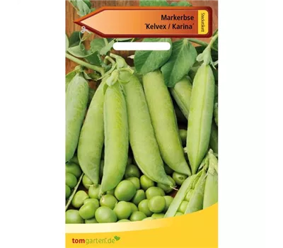 Markerbse 'Karina'