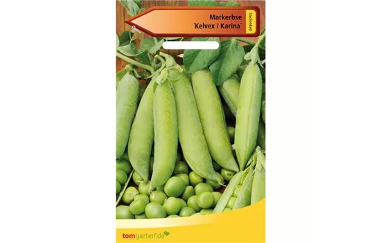 Markerbse 'Karina' Markerbse 'Karina'