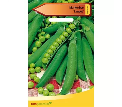 Markerbse 'Lancet'