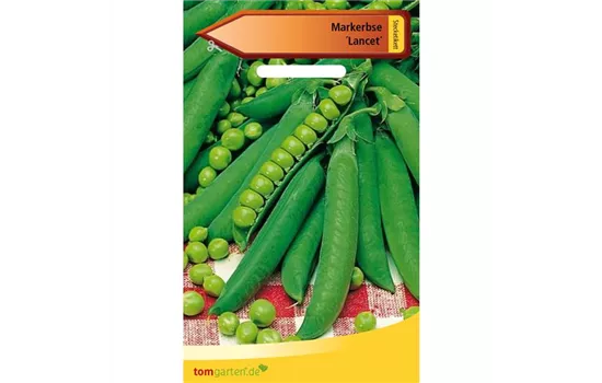 Markerbse 'Lancet' Markerbse 'Lancet'
