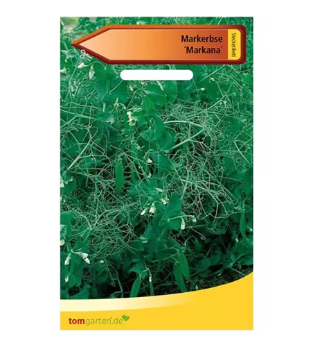 Markerbse 'Markana'