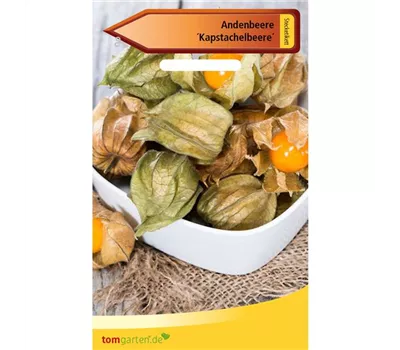 Andenbeere Andenbeere