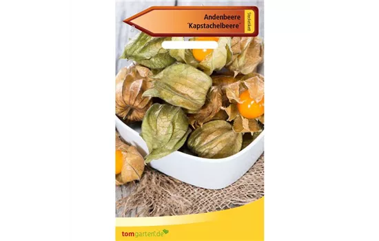 Andenbeere Andenbeere