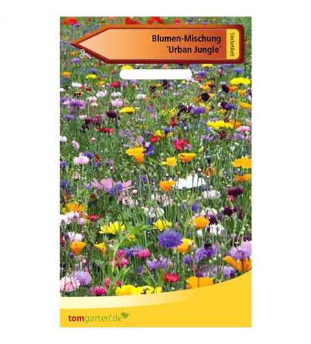 Blumen-Mischung 'Urban Jungle'