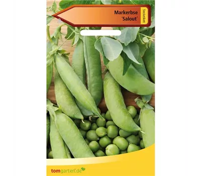 Markerbse 'Salout'