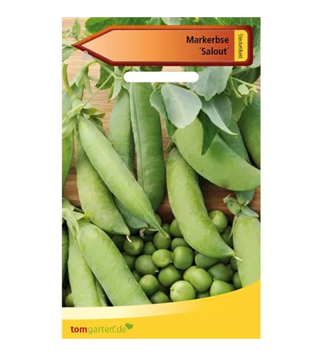 Markerbse 'Salout'