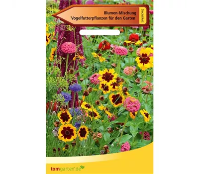 Vogelfutterpflanzen für den Garten