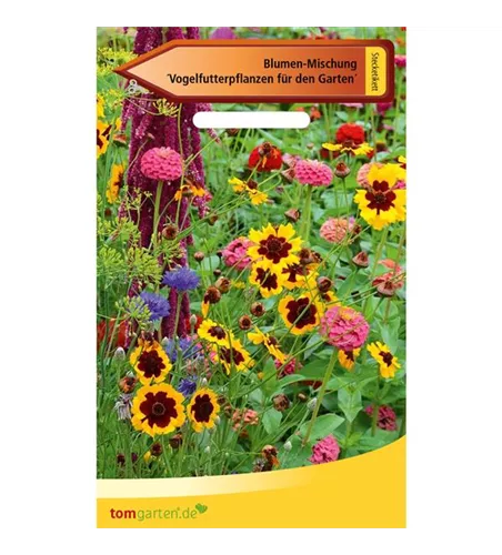 Vogelfutterpflanzen für den Garten