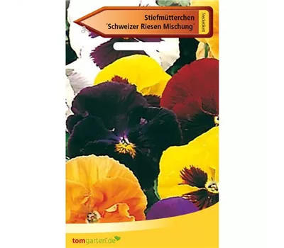 Garten-Stiefmütterchen 'Schweizer Riesen' Garten-Stiefmütterchen 'Schweizer Riesen'
