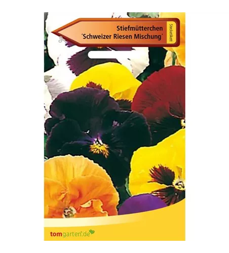 Garten-Stiefmütterchen 'Schweizer Riesen'