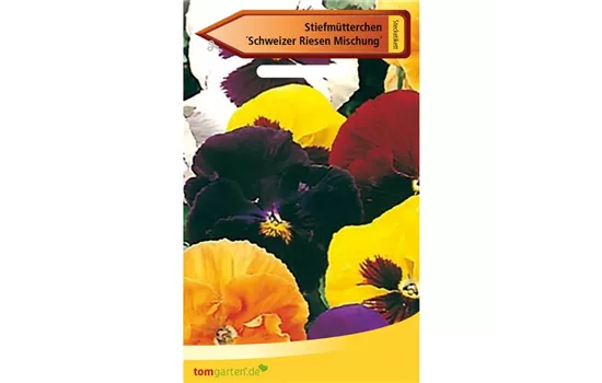 Garten-Stiefmütterchen 'Schweizer Riesen' Garten-Stiefmütterchen 'Schweizer Riesen'