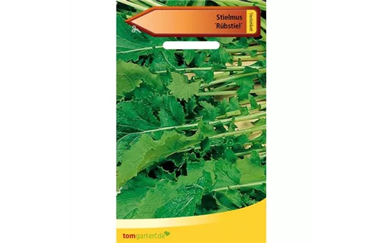 Rübstiel Rübstiel