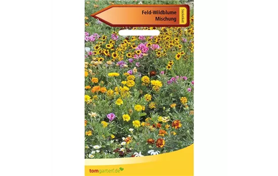 Wildblumen Wildblumen