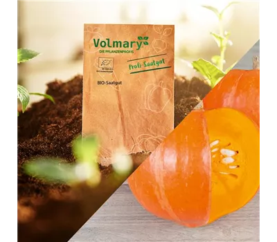 Herz-Hokkaido Herz-Hokkaido