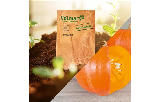 Herz-Hokkaido Herz-Hokkaido